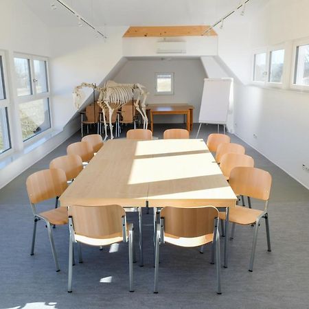 Equiliber Reitkunstzentrum Burgenland Wulkaprodersdorf Bagian luar foto